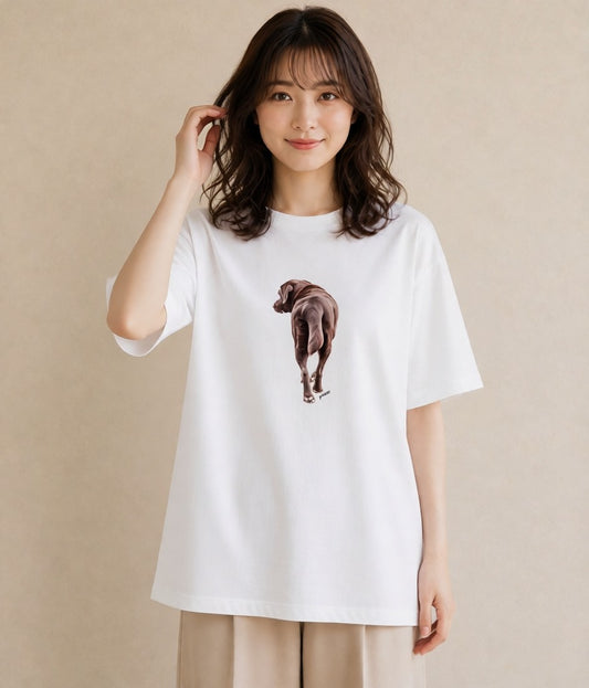 Tシャツ レディース 愛犬 犬 いぬ イラスト モード 在宅 公園 白T
