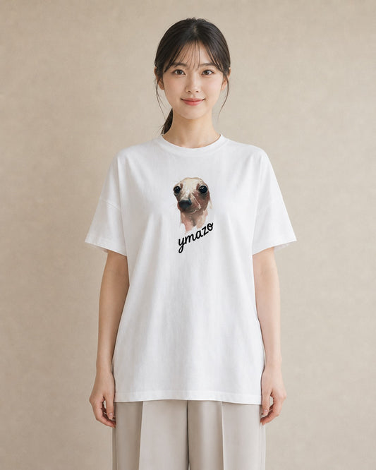 プリントTシャツ レディース アザラシ 動物 アニマル イラスト フェミニン クリスマス 旅行 白T