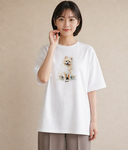 デザインTシャツ レディース ポメラニアン ポメ 犬 いぬ イラスト 韓国風 デイリーウェア 休日 白T