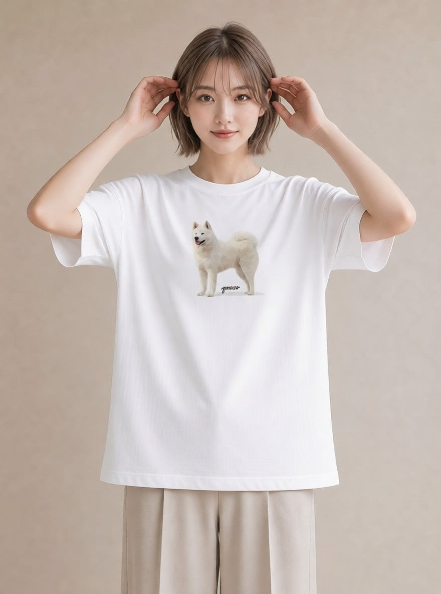 グラフィックTシャツ レディース サモエド 犬 いぬ イラスト シック 春服 ミセス 白T