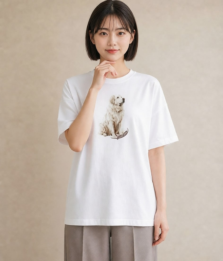 デザインTシャツ レディース 老犬 犬 いぬ イラスト カジュアル カフェ巡り 女子会 白T