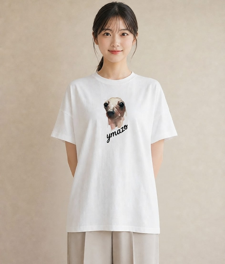 プリントTシャツ レディース アザラシ 動物 アニマル イラスト フェミニン クリスマス 旅行 白T