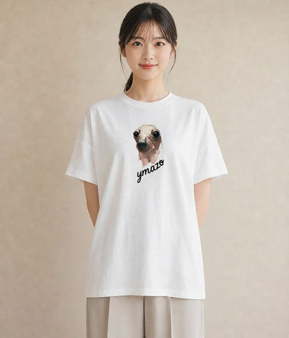プリントTシャツ レディース アザラシ 動物 アニマル イラスト フェミニン クリスマス 旅行 白T
