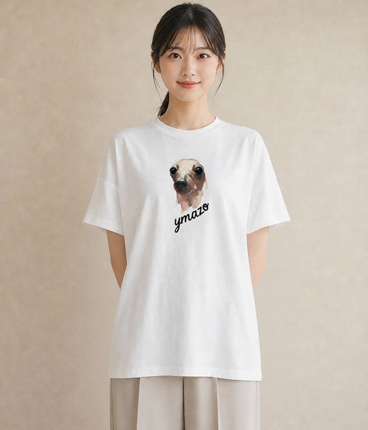 プリントTシャツ レディース アザラシ 動物 アニマル イラスト フェミニン クリスマス 旅行 白T