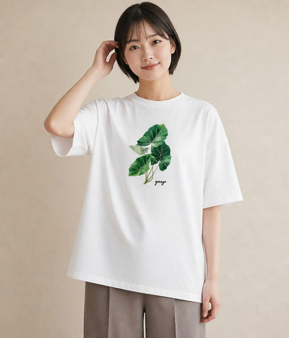 半袖Tシャツ レディース モンステラ 植物 ボタニカル イラスト ニュアンス 社会人 女性 白T