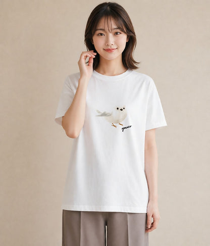 Tシャツ レディース マメルリハ ペット 動物 イラスト 淡色 旅行 母娘コーデ 白T