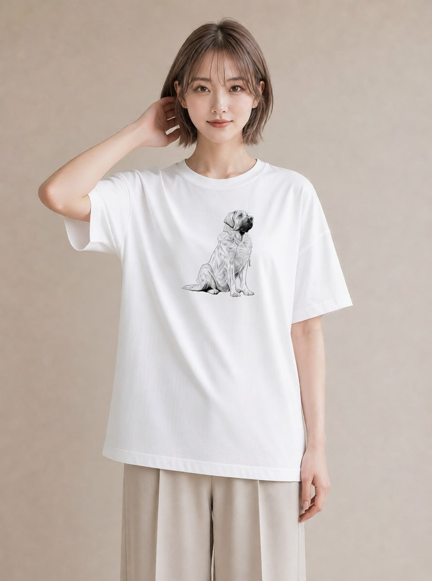 グラフィックTシャツ レディース 豆柴 犬 いぬ イラスト ラフカジュアル 友達ギフト 部屋着 白T
