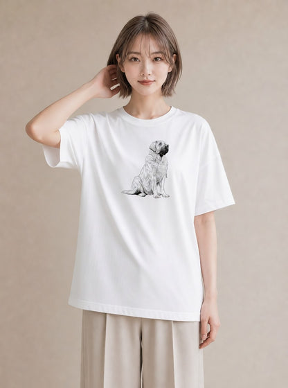 グラフィックTシャツ レディース 豆柴 犬 いぬ イラスト ラフカジュアル 友達ギフト 部屋着 白T