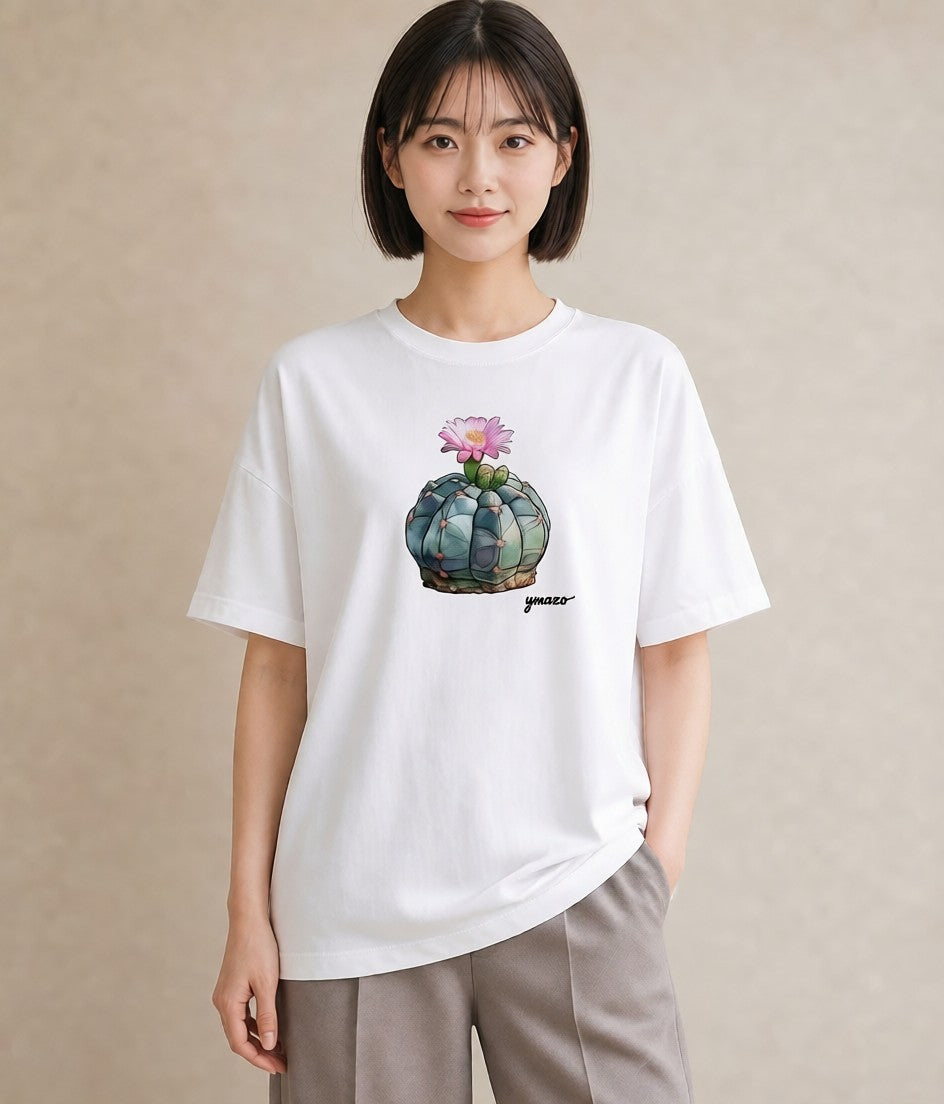 プリントTシャツ レディース 多肉植物 植物 ボタニカル イラスト カジュアル 誕生日プレゼント 綿100 白T