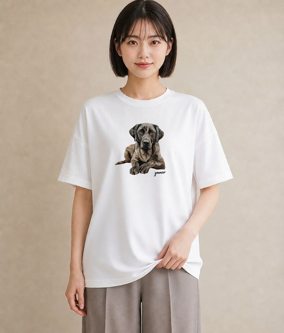 プリントTシャツ レディース 老犬 犬 いぬ イラスト きれいめ ペアコーデ 秋コーデ 白T
