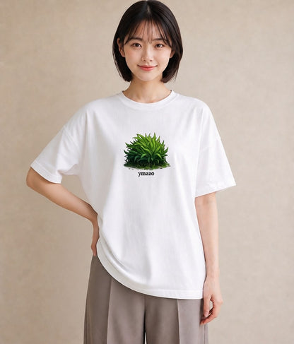 デザインTシャツ レディース 芝生 植物 ボタニカル イラスト 手描き風 秋コーデ おしゃれギフト 白T