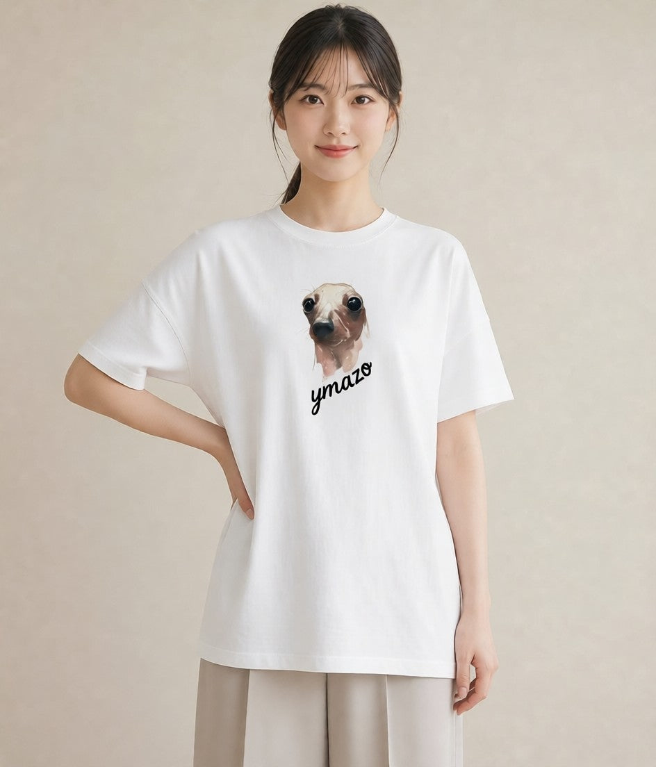 プリントTシャツ レディース アザラシ 動物 アニマル イラスト フェミニン クリスマス 旅行 白T