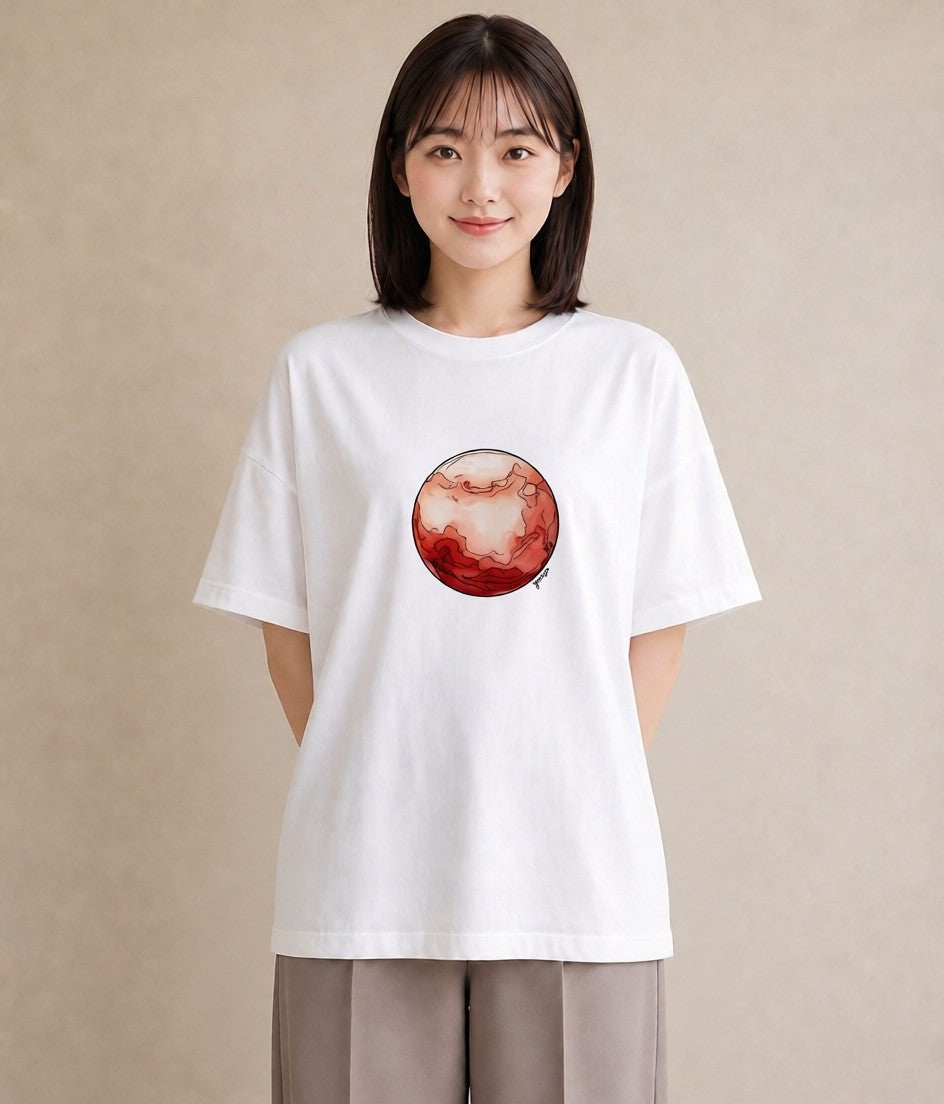 プリントTシャツ レディース オーロラ 星空 宇宙 イラスト 韓国風 女子会 お揃い 白T