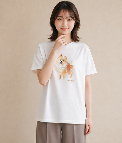 グラフィックTシャツ レディース ポメラニアン ポメ 犬 いぬ イラスト 韓国風 女性向けギフト 散歩 白T