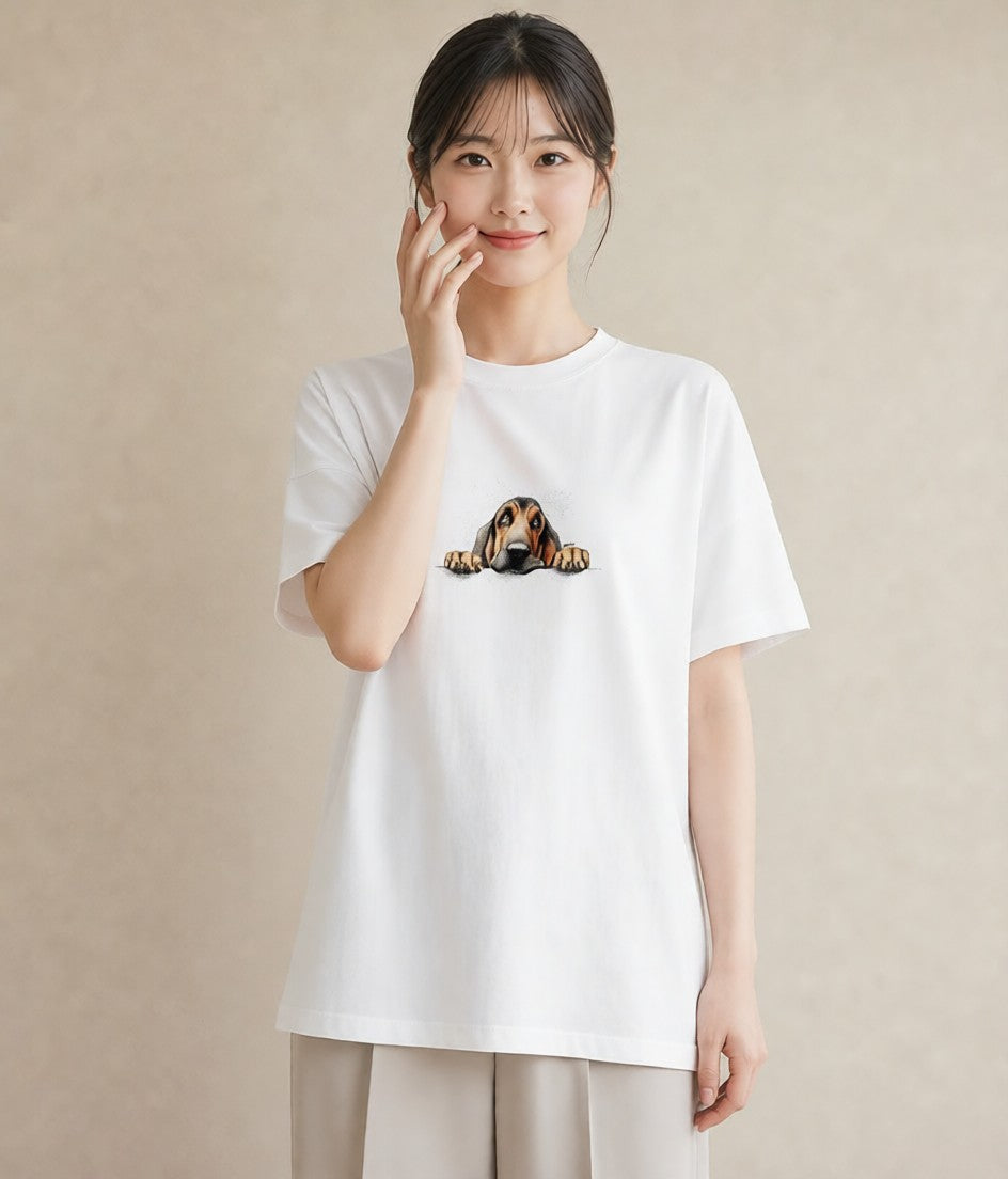 Tシャツ レディース 四国犬 犬 いぬ イラスト シック 春服 ミセス 白T