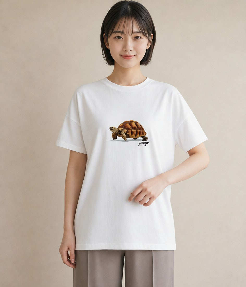 Tシャツ レディース ゼニガメ ペット 動物 イラスト レトロ ミセス 春コーデ 白T