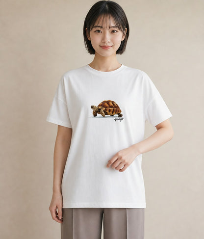 Tシャツ レディース ゼニガメ ペット 動物 イラスト レトロ ミセス 春コーデ 白T