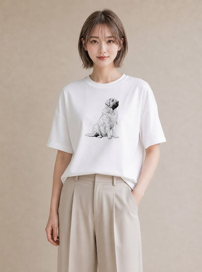 グラフィックTシャツ レディース 豆柴 犬 いぬ イラスト ラフカジュアル 友達ギフト 部屋着 白T