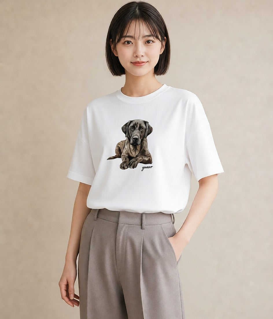 プリントTシャツ レディース 老犬 犬 いぬ イラスト きれいめ ペアコーデ 秋コーデ 白T