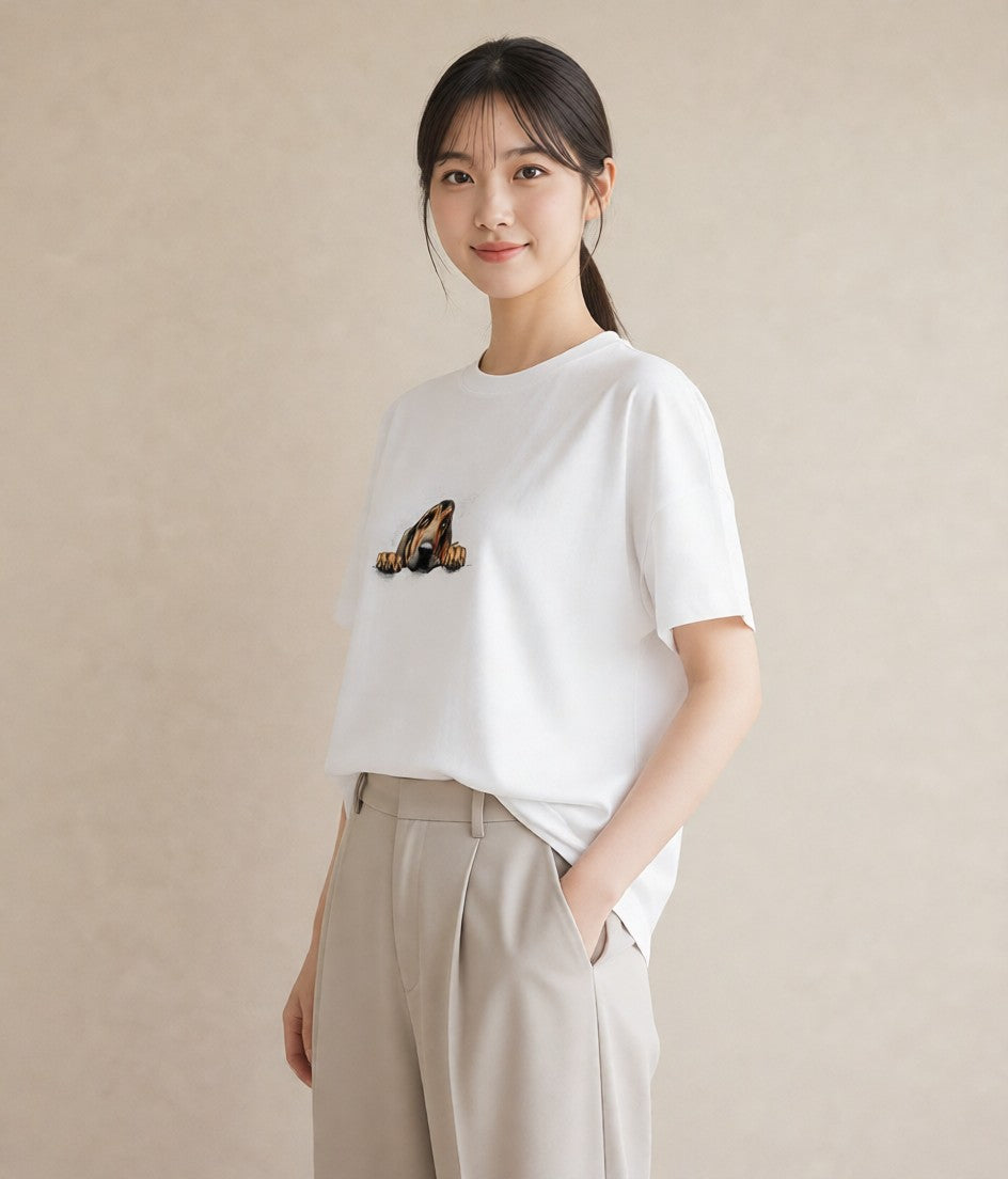Tシャツ レディース 四国犬 犬 いぬ イラスト シック 春服 ミセス 白T
